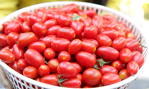 ăn chua giúp giảm cân