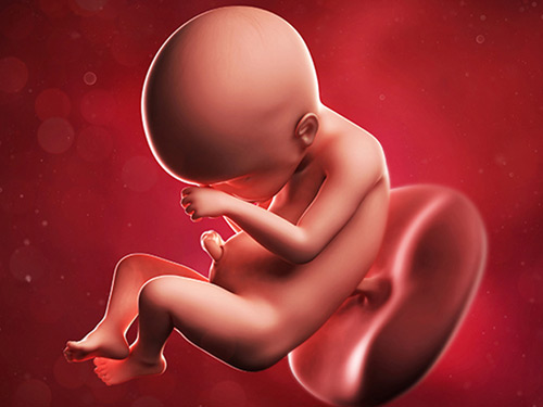 Tiểu đường thai kỳ gây ảnh hưởng gì đến thai nhi?