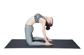 30 phút mỗi ngày với 5 bài tập yoga toàn thân giảm mỡ hiệu quả