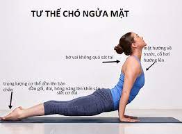 Tổng hợp 4 tư thế Yoga giảm mỡ bụng cho người mới tập